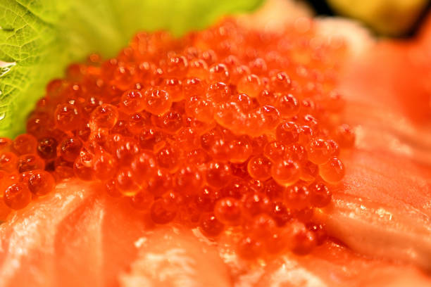 istock Salmon salmon roe bowl with plenty of salmon roe. 1455656727