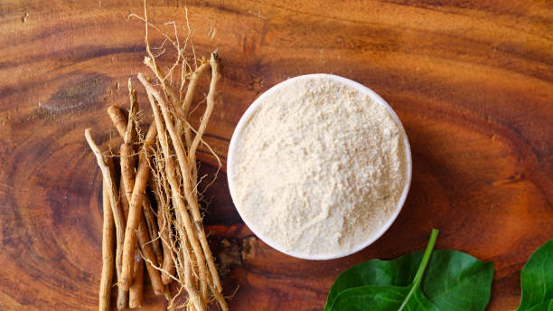 ashwagandha wurzeln und pulver bekannt als withania somnifera in weißer schüssel auf holzhintergrund. indischer ginseng, giftstachelbeere oder winterkirsche. pflanzliches adaptogen ayurvedische medizin. - herbal medicine herb leaf india stock-fotos und bilder