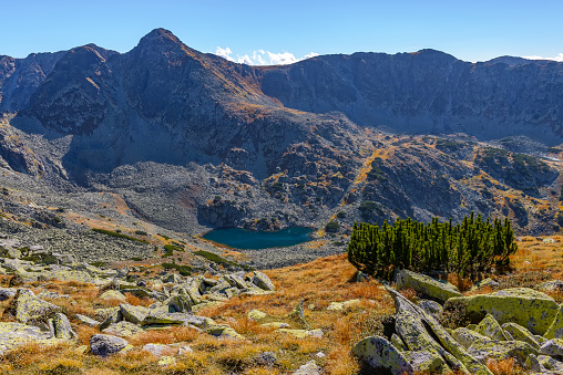 Beautiful view of a glacial lake in the mountains under the hot summer sun light and clear blue sky. Alpine pine Pinus mugo and rocks covered with dry grass foreground, high mountain peaks background