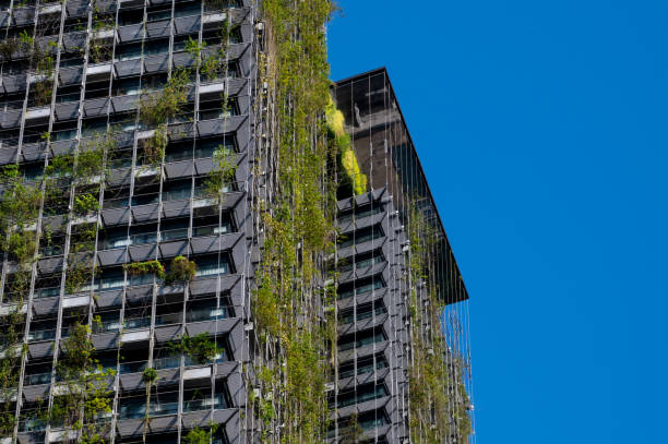 istock Modern architectural residential tower covered with living plants in sunny bright day 1455662721