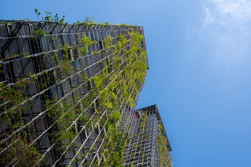 Low angle view of modern residential apartment bulding with vertical garden.