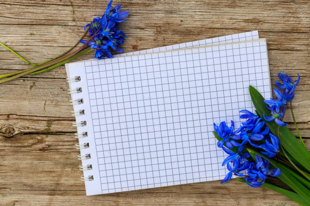 istock Blank notepad with blue scilla flowers on rustic wooden background 1455664841