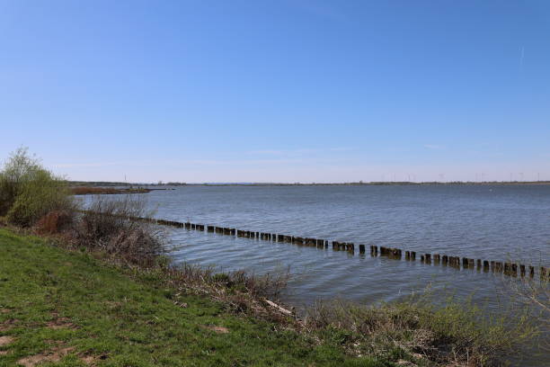 Sunny spring day at Lake Dümmer stock photo