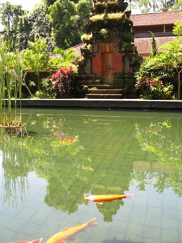Tirta Empul is a Hindu Balinese water temple. It is dedicated to Vishnu, the Hindu God of water.