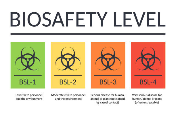 poziomy bezpieczeństwa biologicznego banera wektorowego. podpisuje bsl-1, bsl-2, bsl-3, bsl-4. laboratoryjny symbol zagrożenia biologicznego. wirusy, bakterie, broń biologiczna. od niskiego do wysokiego ryzyka infekcji. zagrożenie dla personelu laborat - deadly disease stock illustrations