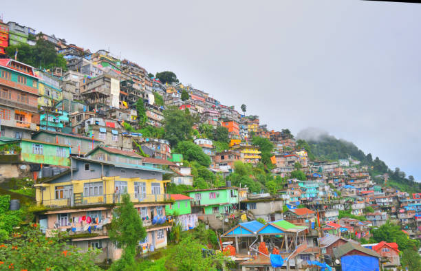 istock Colourful housing pattern in the mountains of Darjeeling. 1455667806
