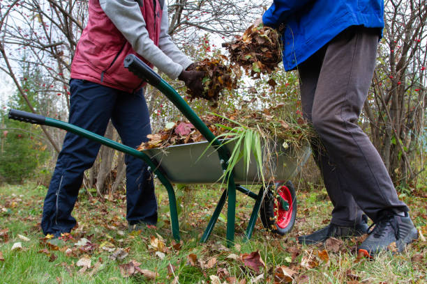 istock two gardeners fill a wheelbarrow with fallen leaves 1455668125