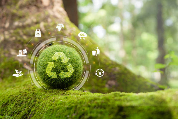 Zero waste,net zero concept. Carbon neutral. Climate neutral long term strategy. Sustainable business development. Reuse Reduce Recycle symbol.Conscious consumption. Waste management. Earth day banner cero residuos, concepto de cero neto. carbono neutral. estrategia climática neutra a largo plazo. desarrollo empresarial sostenible. reutilizar reducir símbolo de reciclaje. consumo consciente. gestión de residuos. bandera del día de la tierra