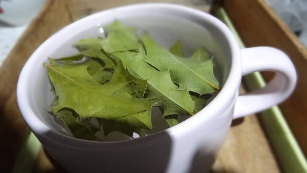 istock Huge cup of tea on the table 1455670890
