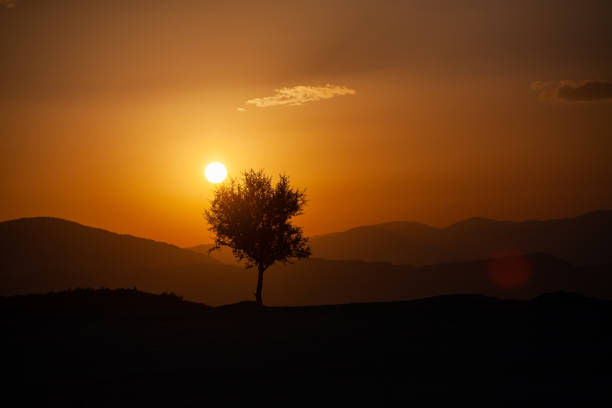 Scenic view of a sunset.