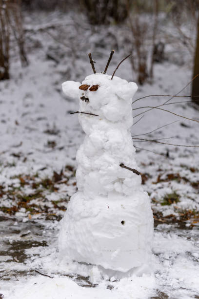 istock Vertical shot of a snowman in a park 1455673108