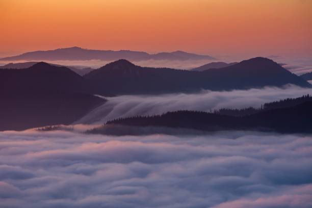istock Aerial view of mountain landscape with dense trees during sunset 1455675527