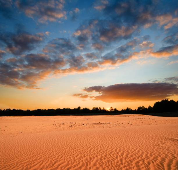 evening in a desert - friable imagens e fotografias de stock