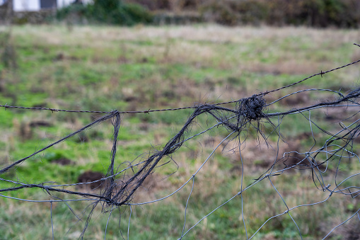 A shot of a complicated rope around an old wire in a farm