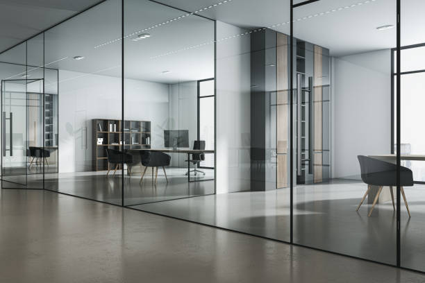 istock Perspective view on sunlit stylish office cabinets with modern interior design, light walls background, wooden decoration and glass transparent partitions. 3D rendering 1455678017