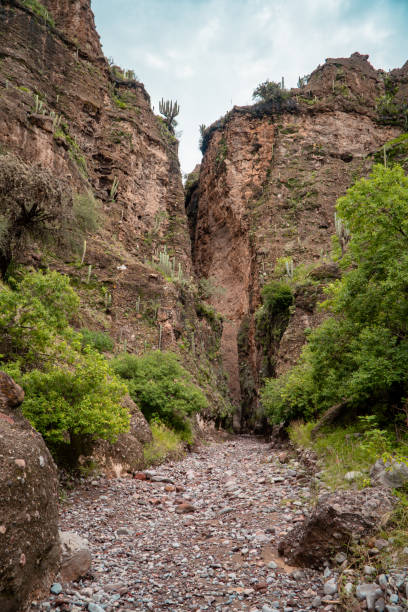 istock Closeup of a rocky mountain 1455678901