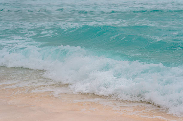 istock Beautiful view of a wavy ocean in Cancun, Mexico 1455679072