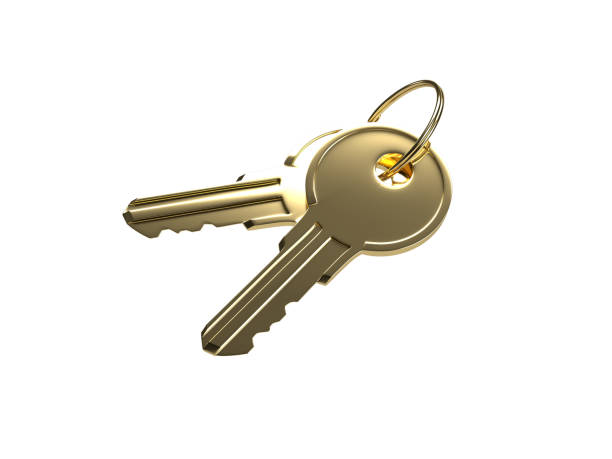 istock Two golden keys on a white background. 1455679305