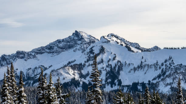 istock Snowy landscape with mountains and trees 1455679359