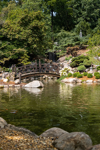 A view of the wooden bridge and lake at Anderson Japanese Gardens on a sunny day, Rockford, Illinois, United States