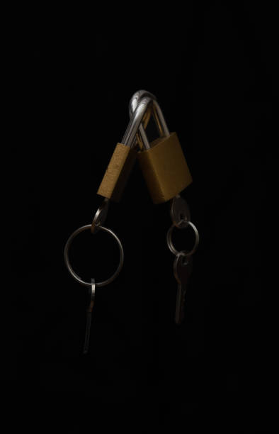 istock Closeup shot of locks 1455679580