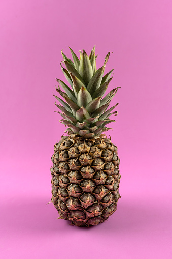 A vertical shot of a pineapple on a pink studio background.