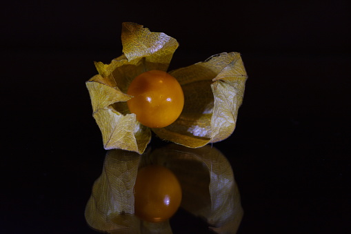 A closeup of a groundcherry (physalis) isolated on a black surface