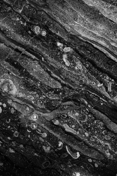 istock Natural black marble. Vertical background photo texture 1455682662