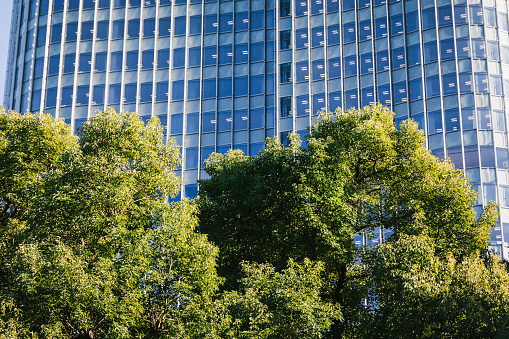 Cityscape with green in Tokyo.