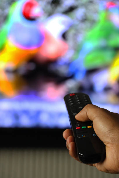 istock Close-up image of unrecognisable person's hand holding Smart TV remote control, pointing at television screen, changing channels, Gouldian finches on bird bath screen saver background, focus on foreground 1455684670