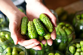 Cucumber in jars