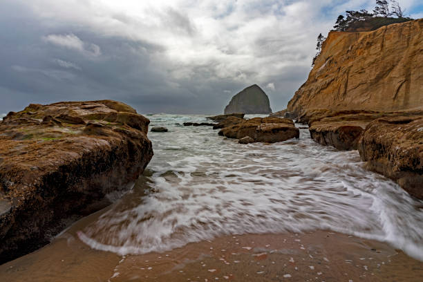 istock Closeup of a sandy coast 1455686815