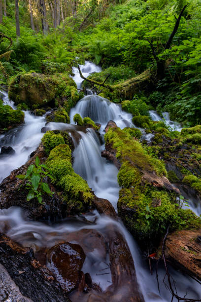 istock Vertical shot of a waterfall and grassy stones 1455686848