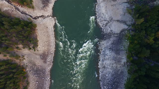 A top down aerial drone shot of the Fraser River in the interior of British Columbia. An wild salmon supporting river in BC flowing strong.