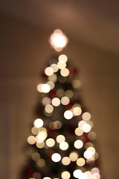 istock Vertical shot of a Christmas tree 1455687804