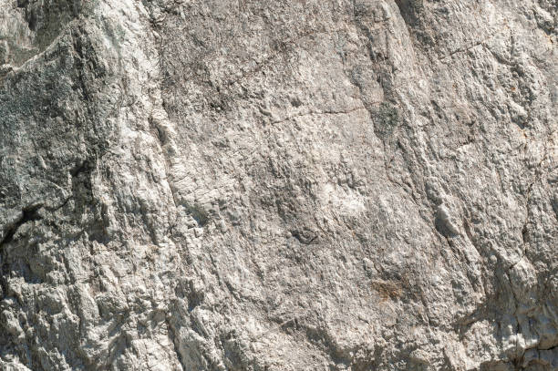 istock Closeup of rocky surface - perfect for background 1455688431