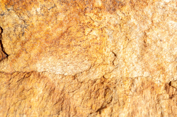 istock Closeup of rocky surface - perfect for background 1455688448