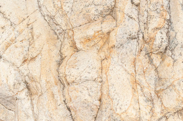 istock Closeup of rocky surface - perfect for background 1455688456
