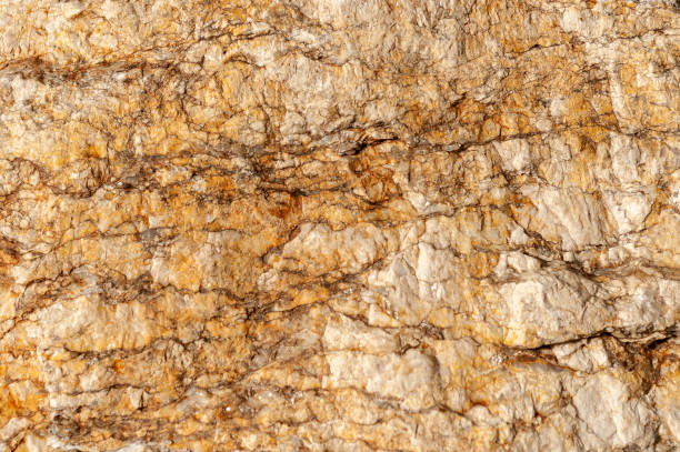 istock Closeup of rocky texture- perfect for background 1455688514