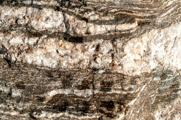 istock Closeup of rocky texture- perfect for background 1455688515