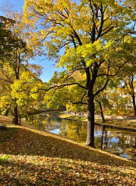 istock Creek through a sunny autumnal park 1455690032