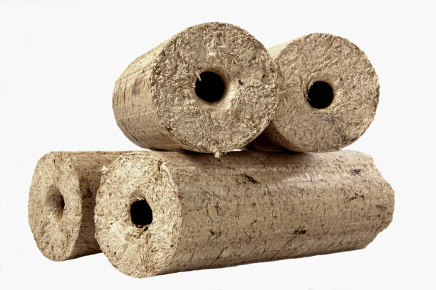 istock Round wooden briquettes isolated on a white background 1455690463