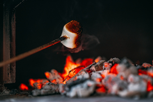 Marshmallows on a Stick by the Campfire