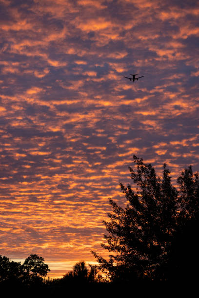 A closeup of a beautiful sky