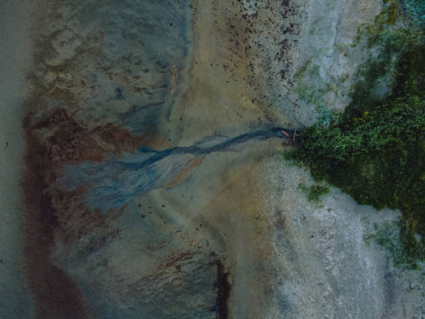 istock Top view of colorful ground and forest 1455691241