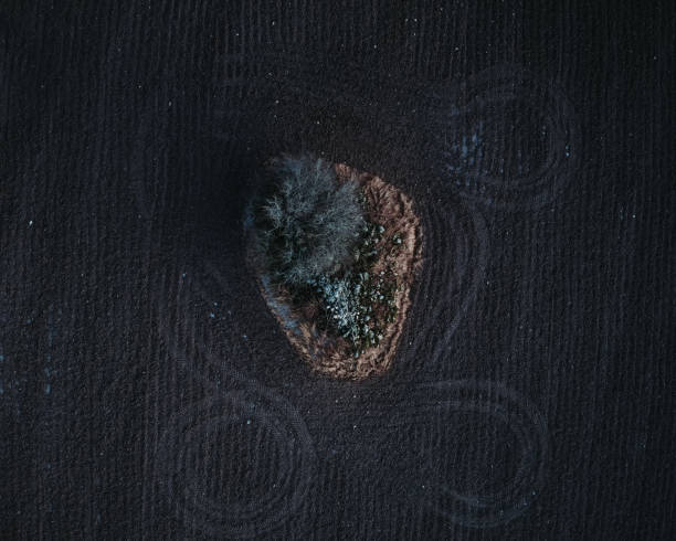 istock Aerial view of a field with patterns 1455691244