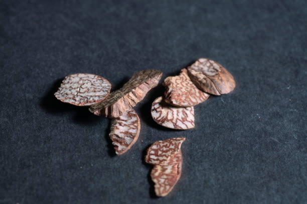 istock chinese medicine Betel nut on black background 1455691781