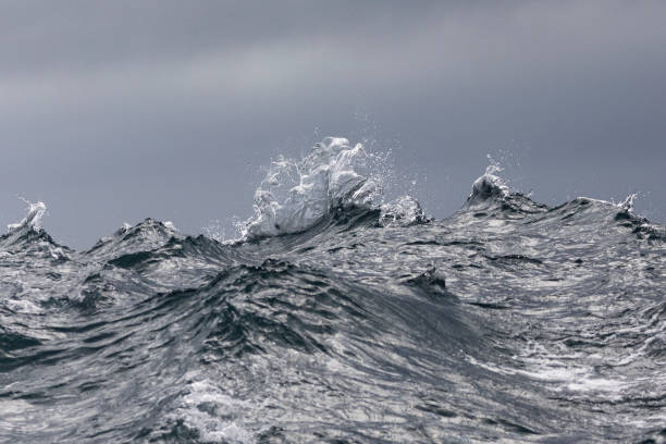 istock Abstract wave movement in the ocean 1455693358