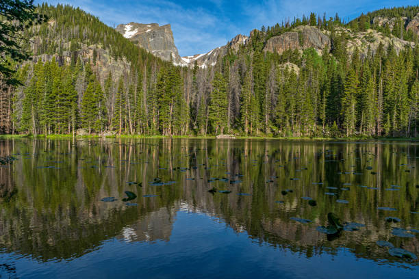 istock Reflection in Sprague Lake at Rocky Mountain National Park 1455694971