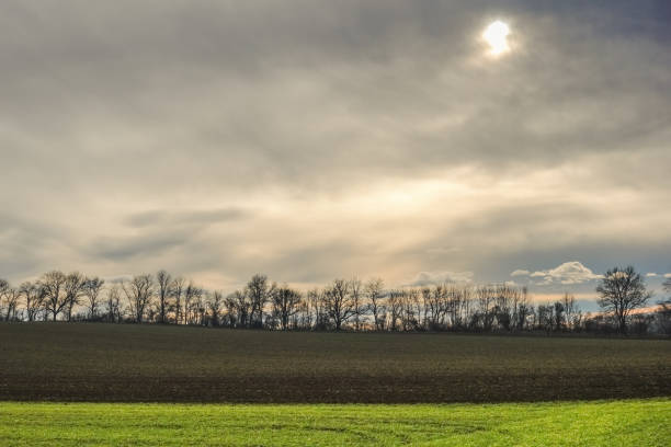 istock green and black field with trees and gray dense clouds 1455696127